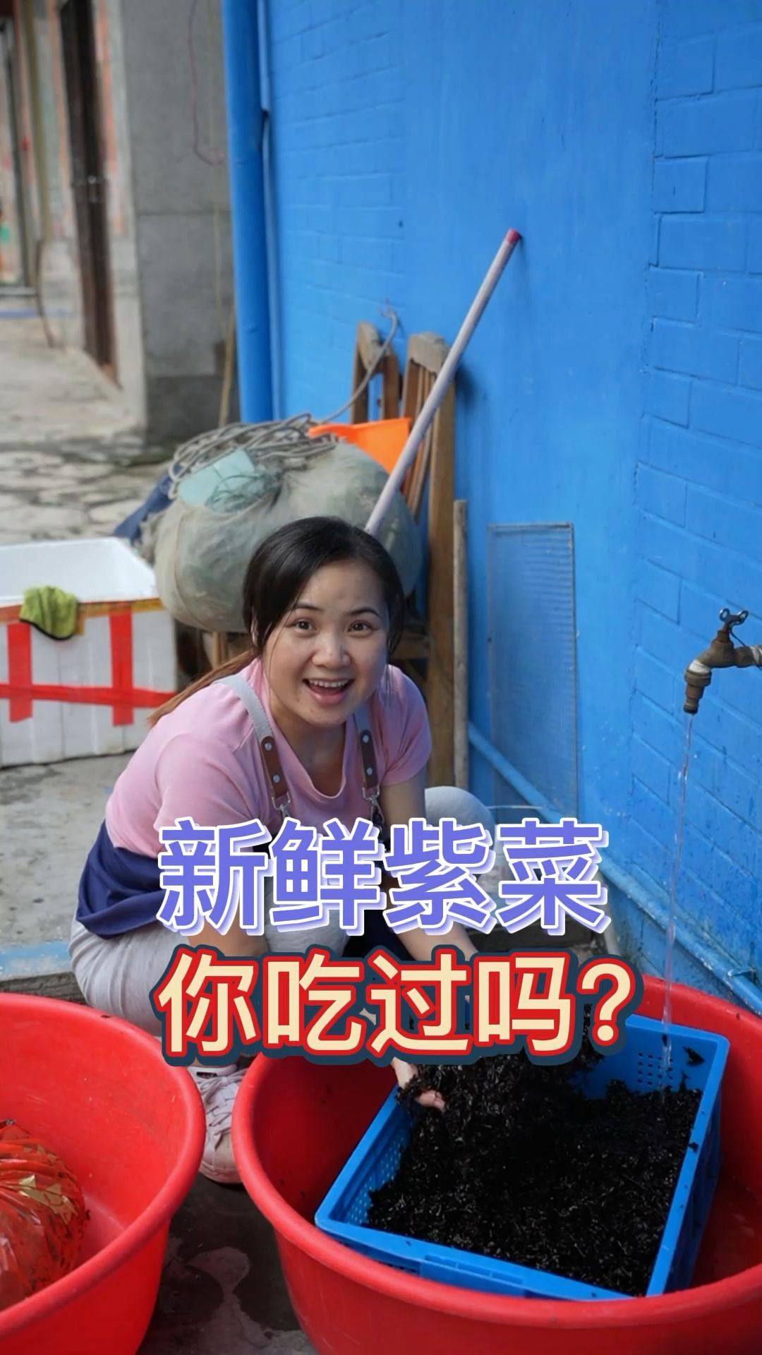 上川岛野生 #紫菜 ,新鲜的 #上川岛紫菜  你吃过吗? #川岛特产 #上川岛美食