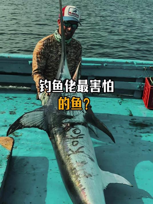 钓鱼佬最害怕的鱼?