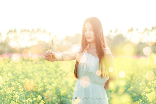 图片[16]-田园花香-六色网