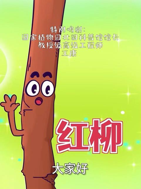 红柳做的大肉串,真的更好吃吗?