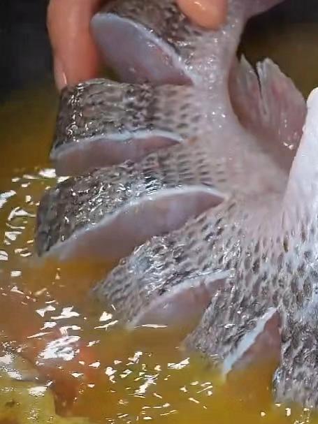 今天给大家分享一个酸汤鲈鱼的做法