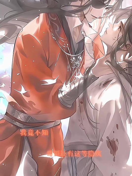 天官赐福 花城谢怜