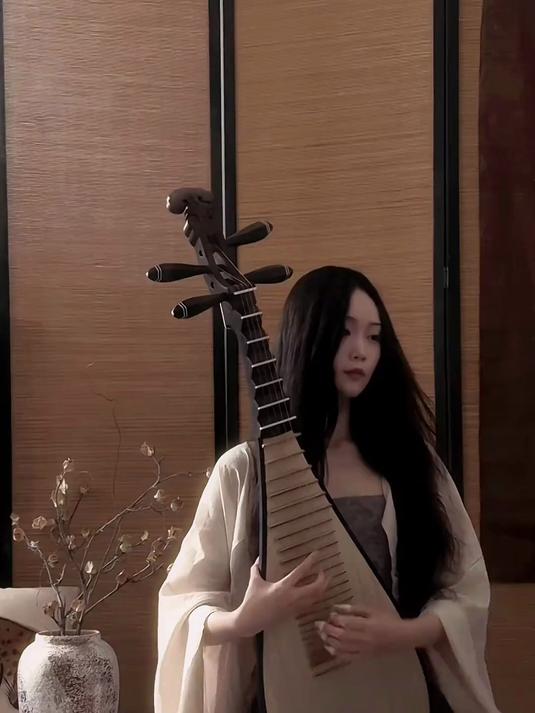不然白居易怎么说琵琶 行 呢