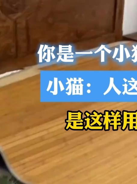 你是一个小猫寿司卷 小猫:人这个东西是这样用的哟