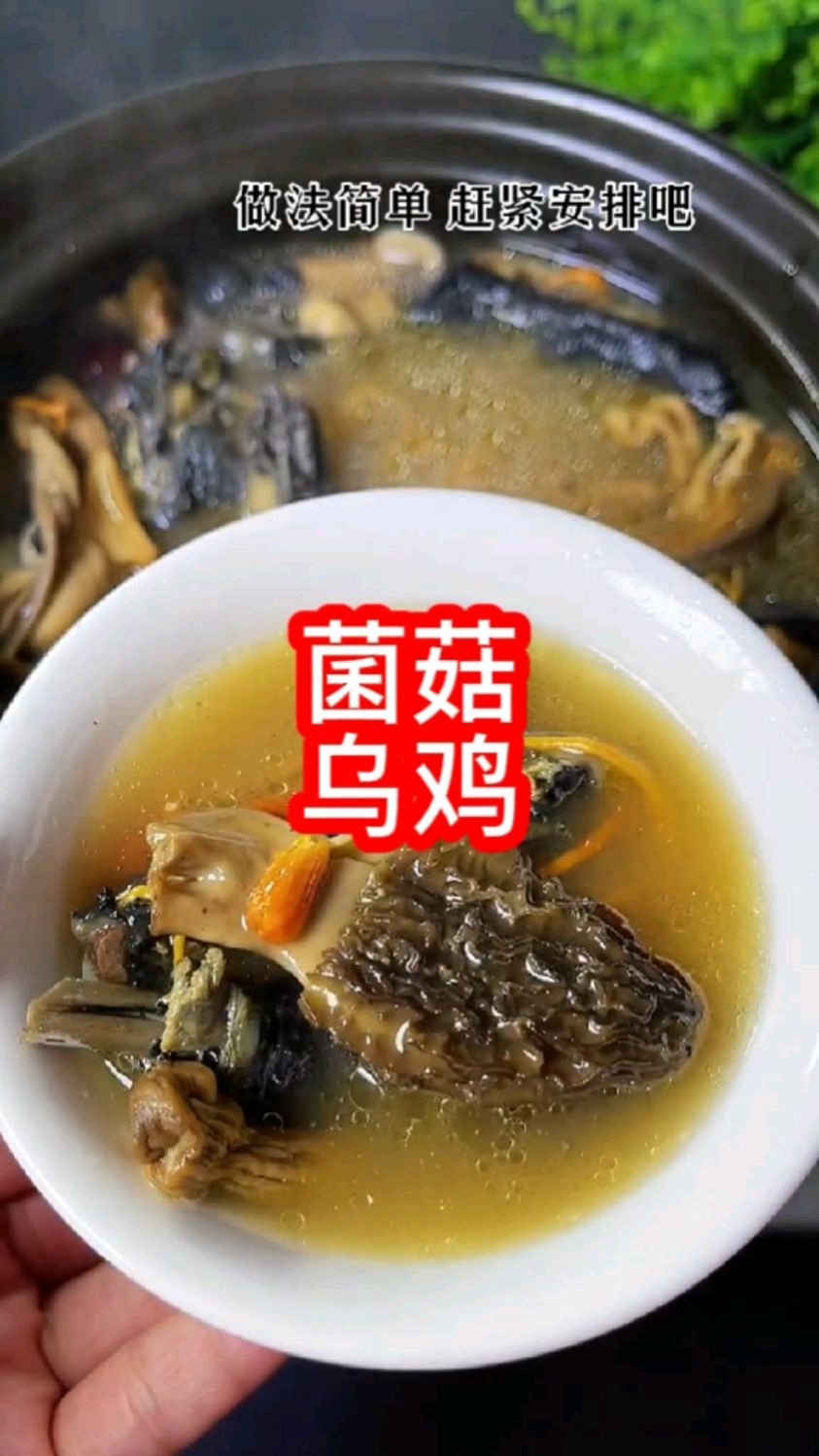 七彩菌菇乌鸡汤