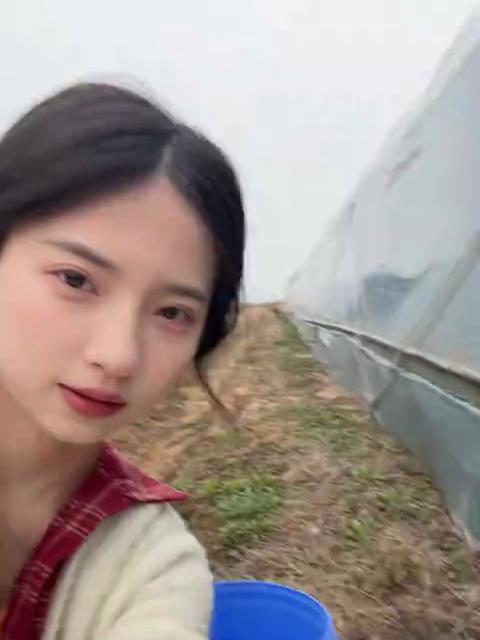 被这口蒸荠菜香迷糊了