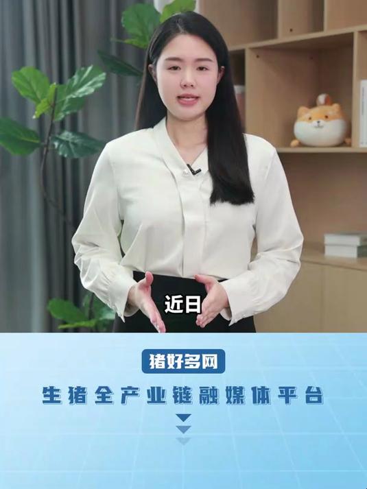 广东省猪价降到7个月来最低,但母猪产能还在上升!