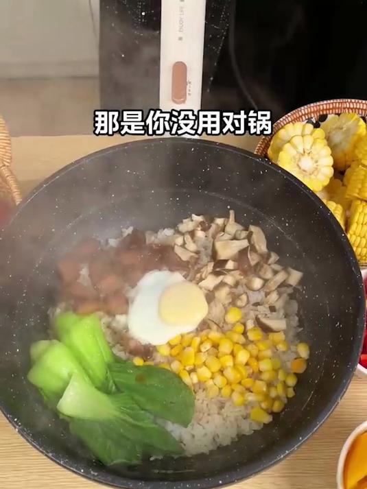 就选它!电炒锅,炒菜煮饭涮火锅全在行