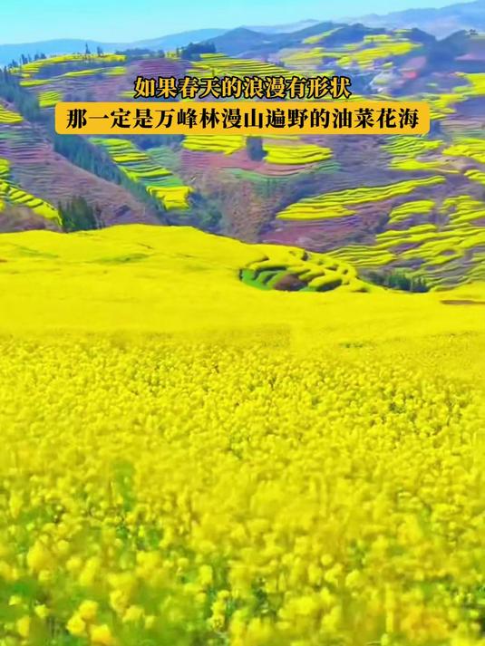 如果春天的浪漫有形状,那一定是万峰林漫山遍野的油菜花海!