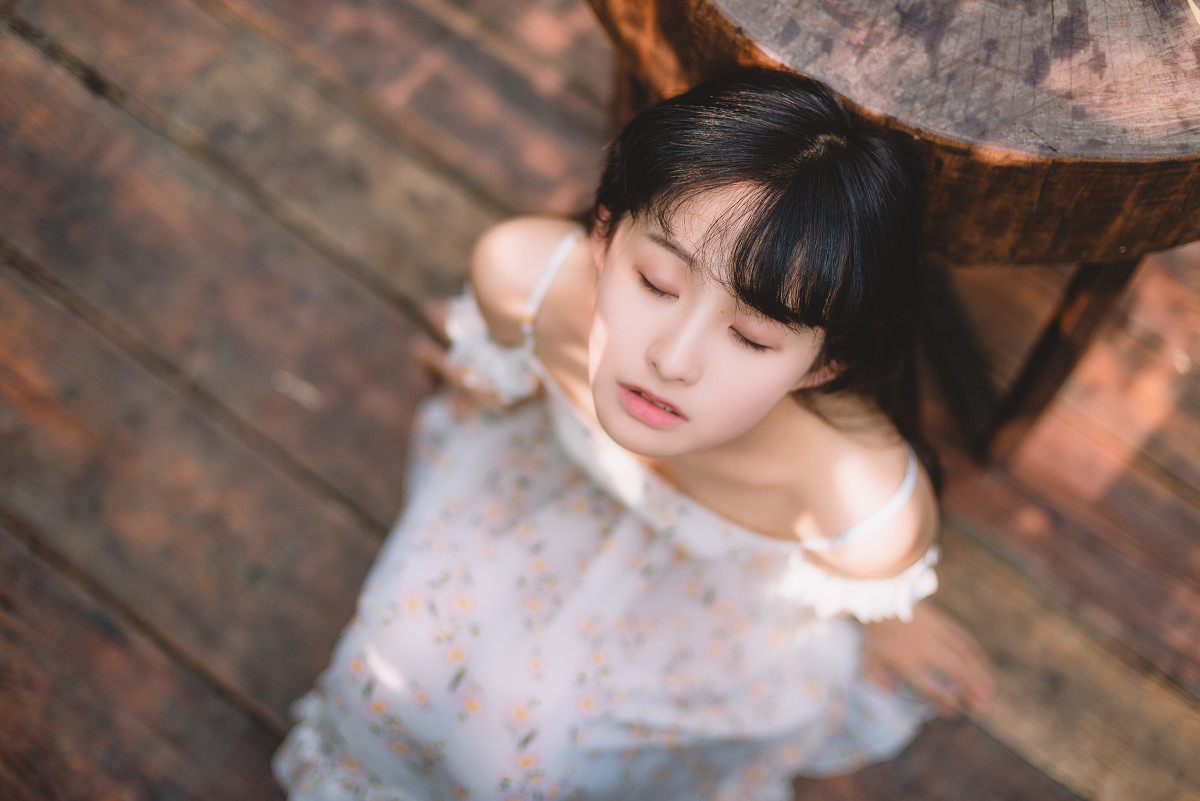 图片[28]-雏菊-六色网