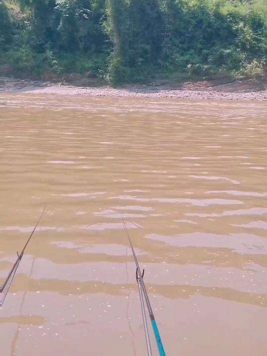 想用手竿解锁澜沧江最美原生鱼巴扎兰!