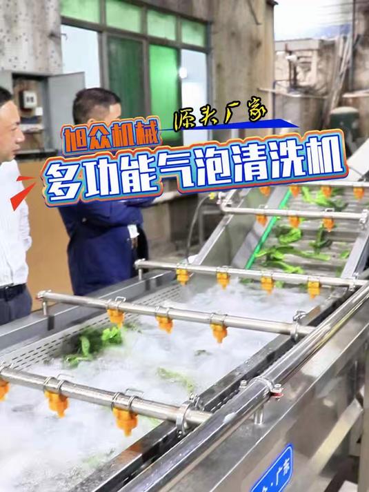 全自动气泡清洗机,可清洗水果蔬菜海产品肉类包装袋食品