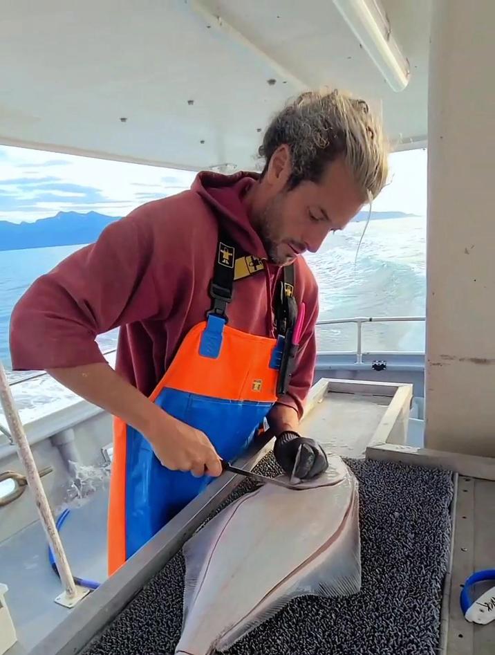 老外都是如何处理大比目鱼的,看起来真的很丝滑很解压啊