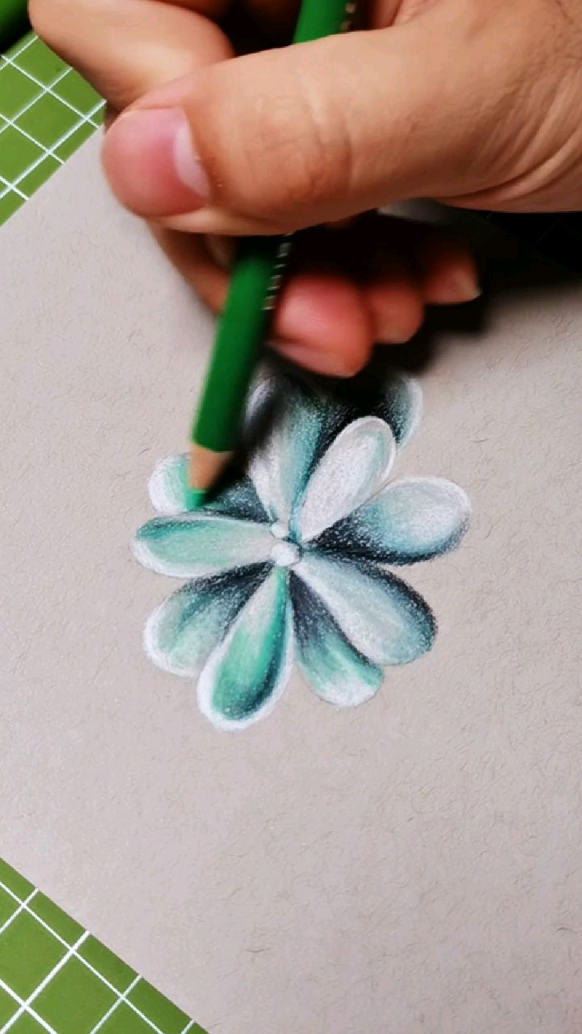 手绘彩铅多肉植物