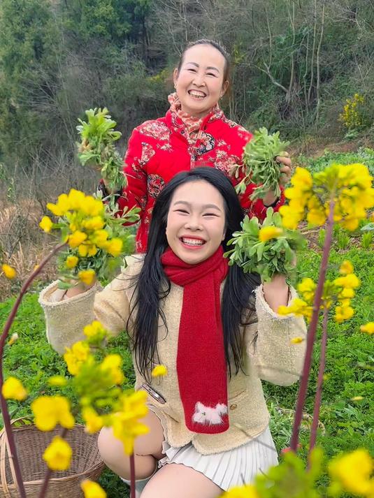 美食说唱又来了,大家吃过清明菜吗?