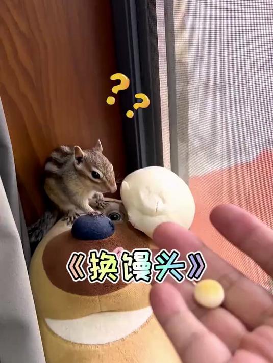 小馒头换大馒头肯定合算呀