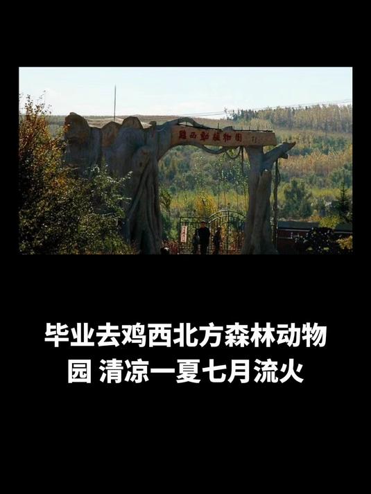 毕业去鸡西北方森林动物园，清凉一夏