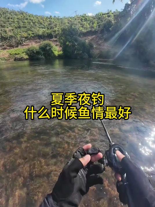 夜钓高手都知道!夏季鱼情最好的时间段