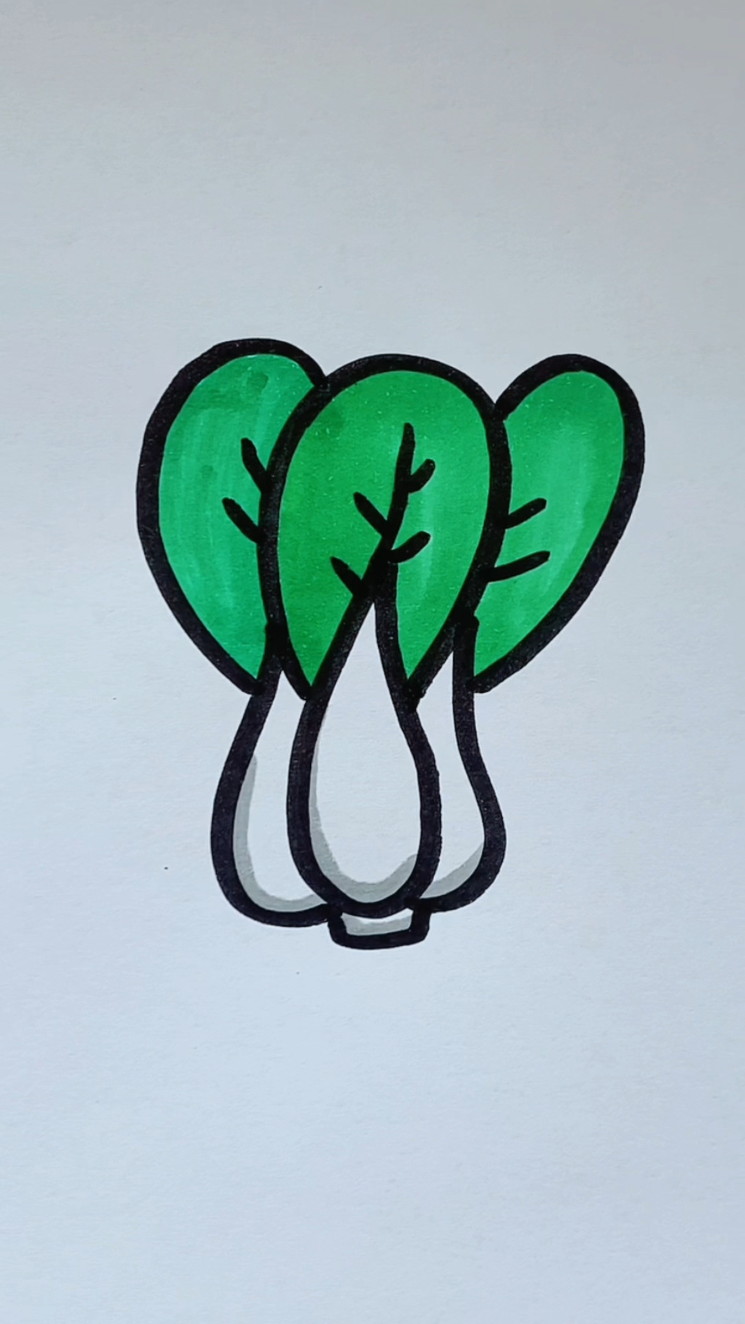 小油菜简笔画