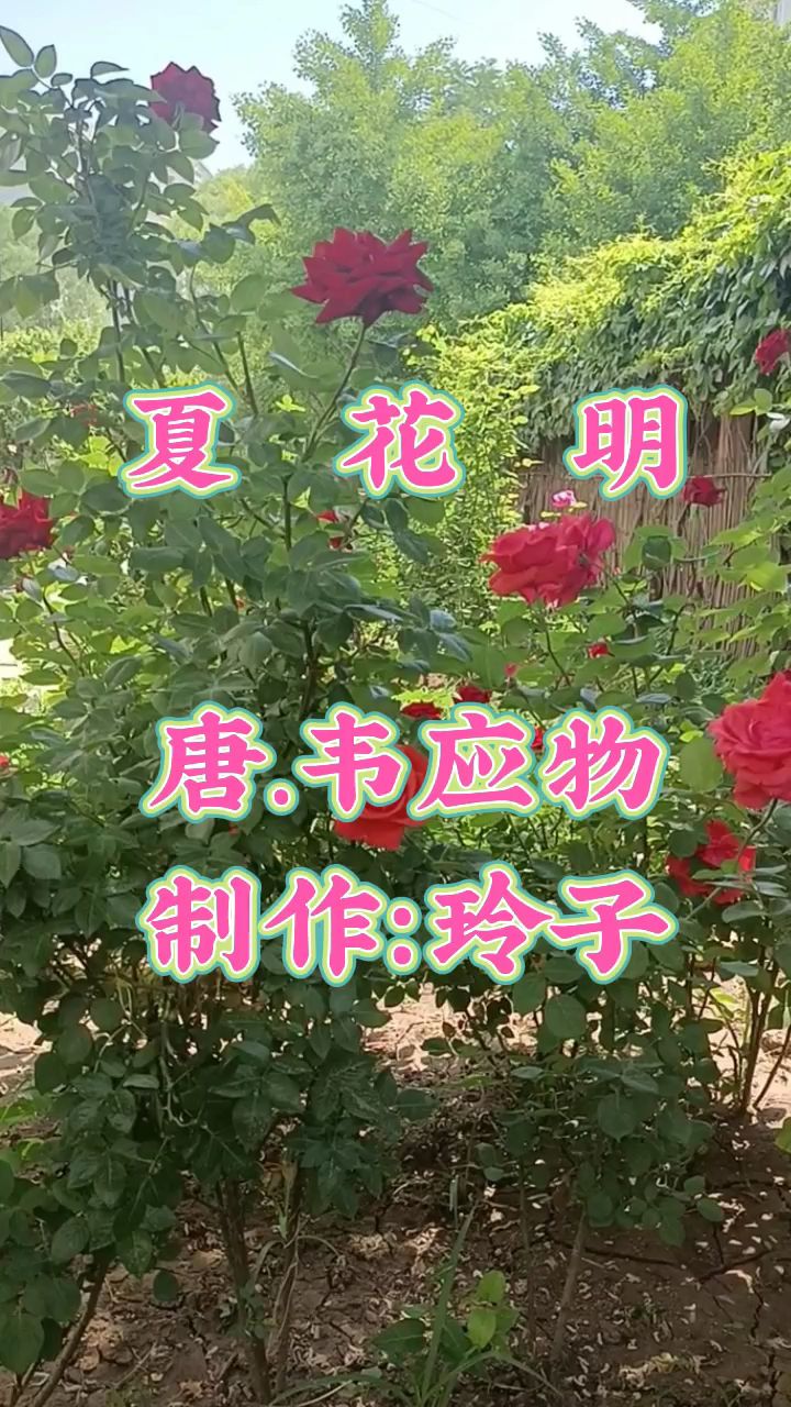 韦应物《夏花明》:炎炎日正午,灼灼火俱燃