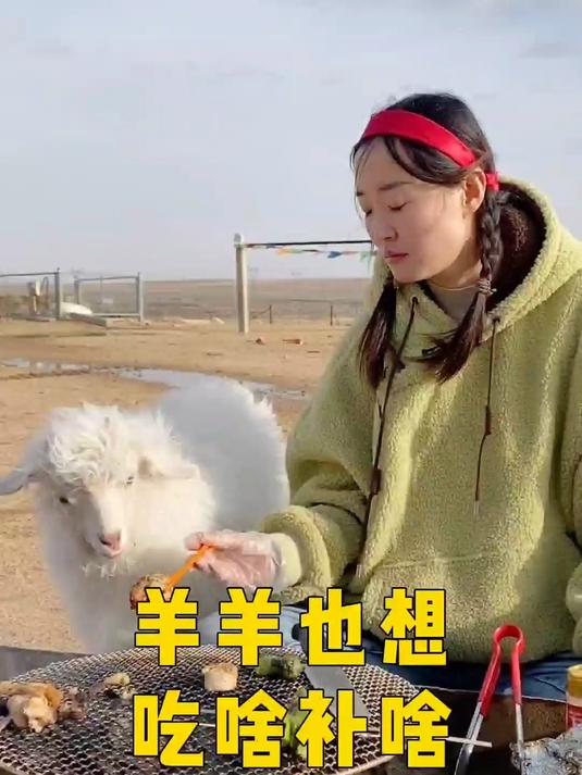 云南有十八怪，福建有三吱儿，我们内蒙有三宝，你最喜欢哪一宝