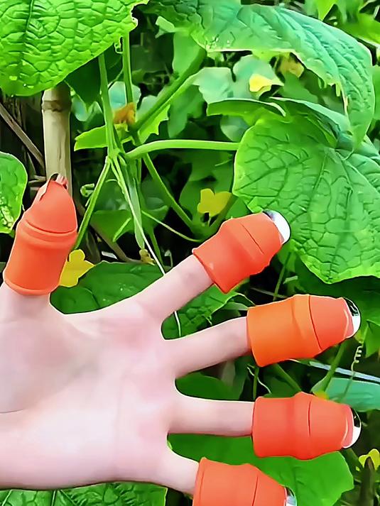 摘菜手指疼 有味道,快入手这个摘菜手指,好用又方便