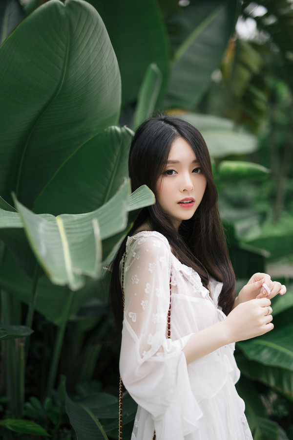 图片[2]-夏绿-六色网