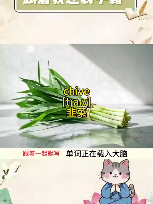 挑战10秒钟记一个单词,chive 韭菜,跟着一起默写,印象更深刻