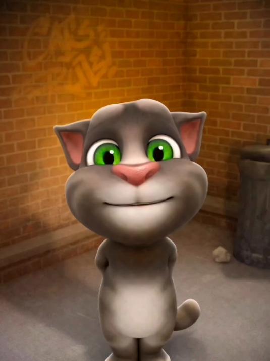 汤姆猫系列 会说话的汤姆猫游戏 我的汤姆猫 汤姆猫看到什么 养一只汤姆猫