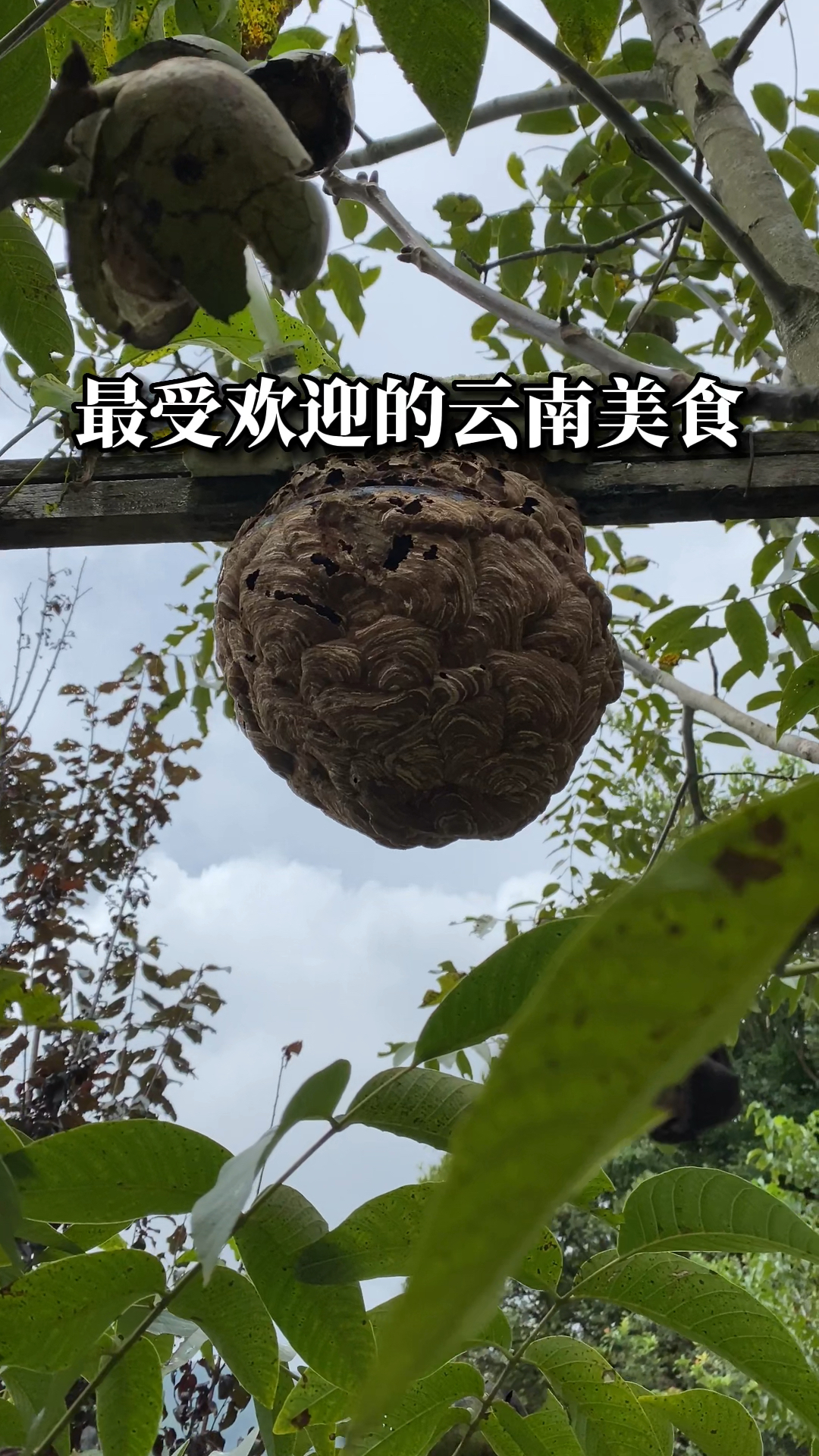 最受欢迎的云南美食!