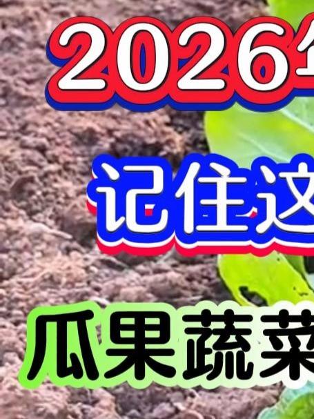 2026年开春种菜记住这个顺口溜瓜果蔬菜轻松大丰收