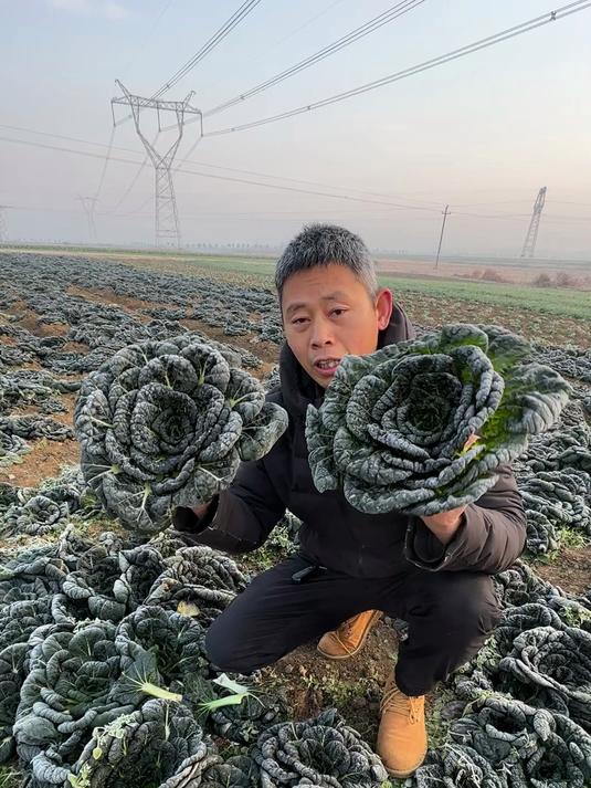 黑叶菜口感超级好吃,菜越来越少,很快结束了