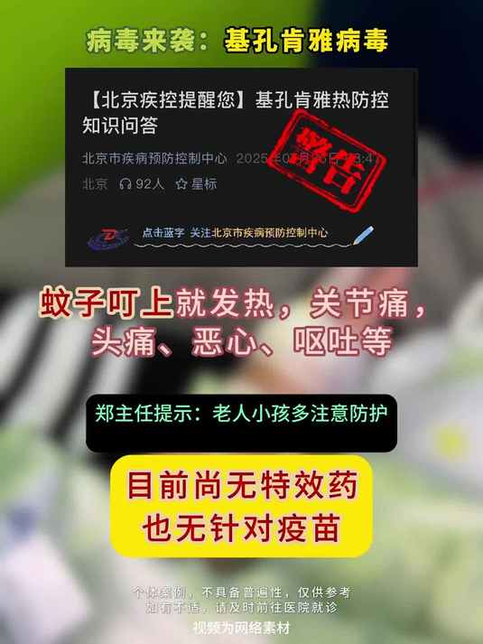 紧急提醒:小心蚊子“黑白条纹杀手”