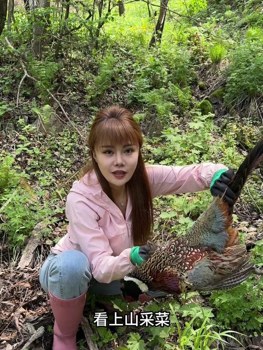 今天和我妈上山采菜认识了水蕨菜,广东菜,猴子腿,还碰到了野鸡