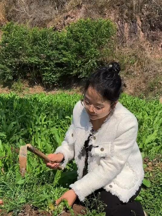 实拍农村22种野菜,你吃过几种?#野菜#