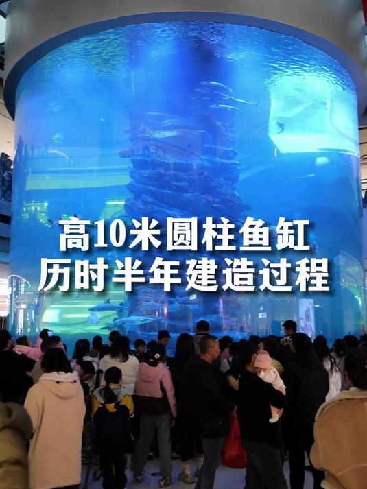10米高圆柱鱼缸,近500吨海水打造梦幻水世界