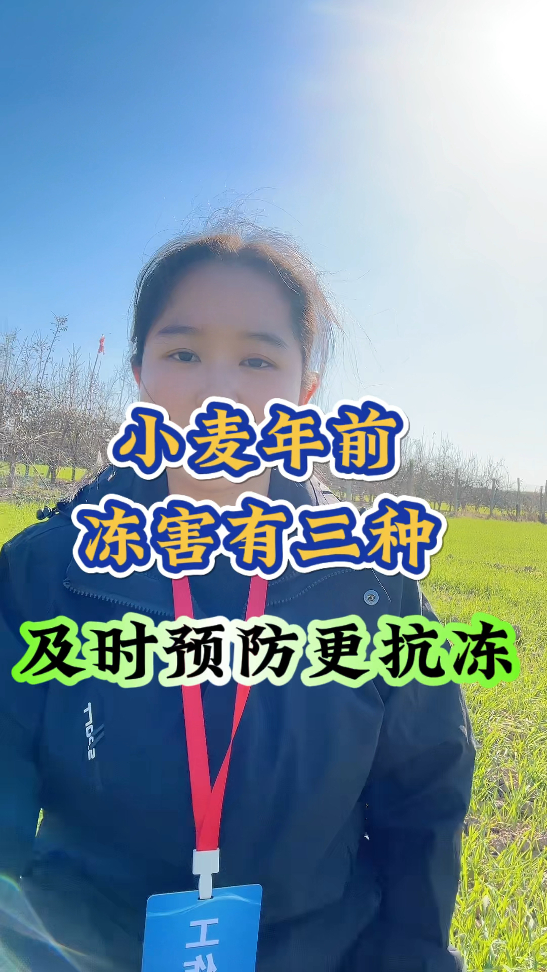 小麦年前冻害有三种,及时预防更抗冻