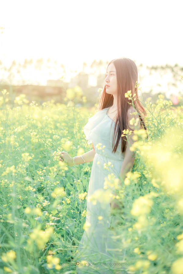 图片[19]-田园花香-六色网
