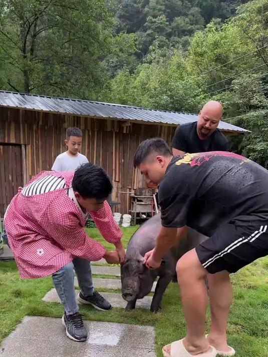 帮兄弟宰只猪做坛罐罐肉,再整桌杀猪菜