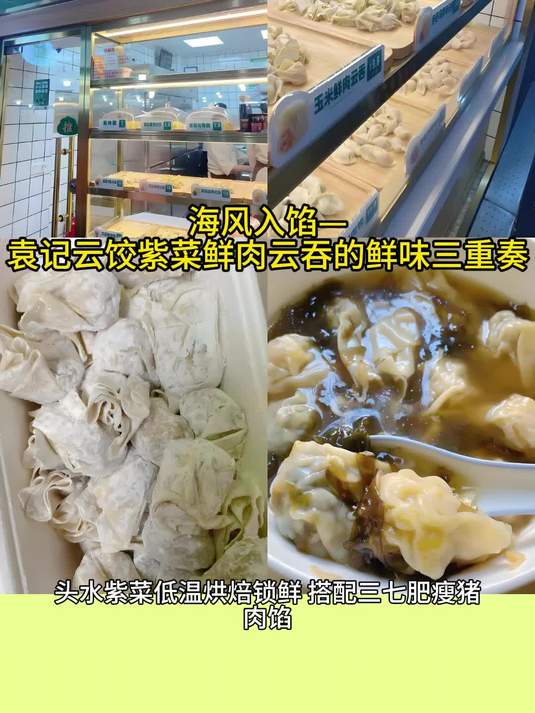 海风入馅—袁记云饺紫菜鲜肉云吞的鲜味三重奏