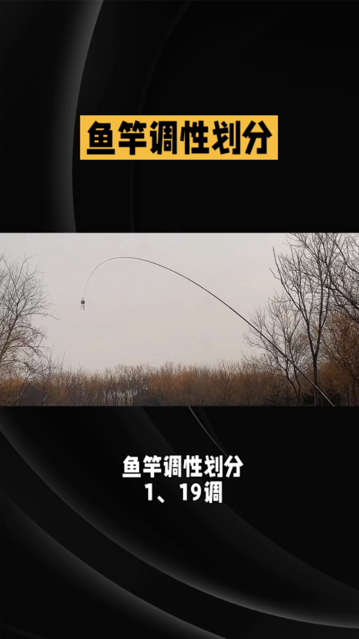 鱼竿调性划分