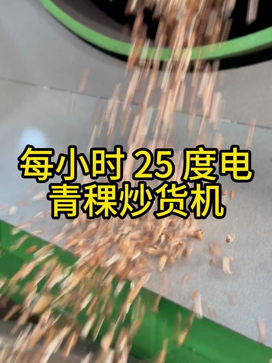 每小时 25 度电 青稞炒货机