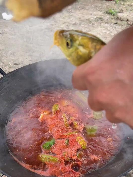 黔东南特色酸汤鱼喜欢用这酸汤来拌饭 凯里酸汤鱼 我的乡村生活