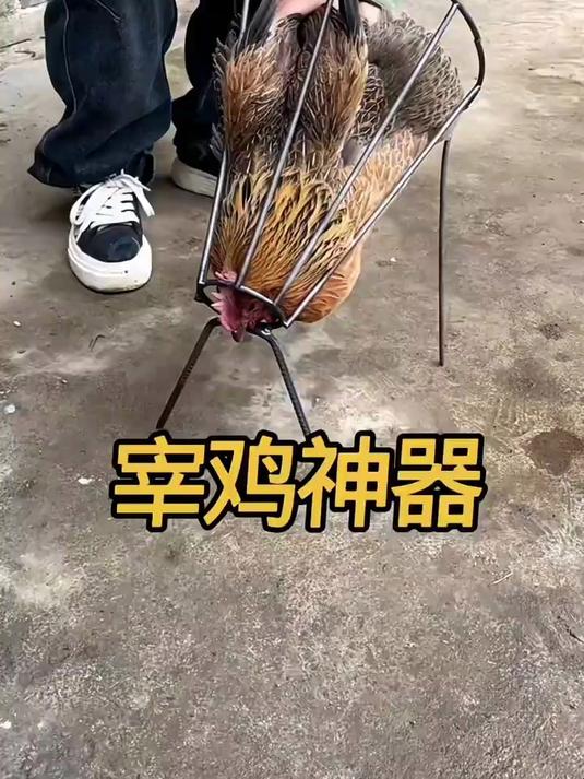 高手研究宰鸡神器