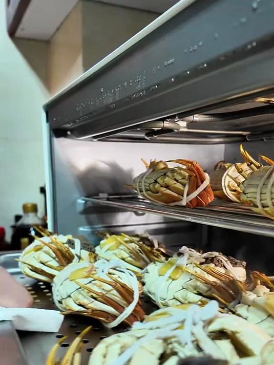 款热门款凯度蒸烤箱对比总结!凯度微波炉