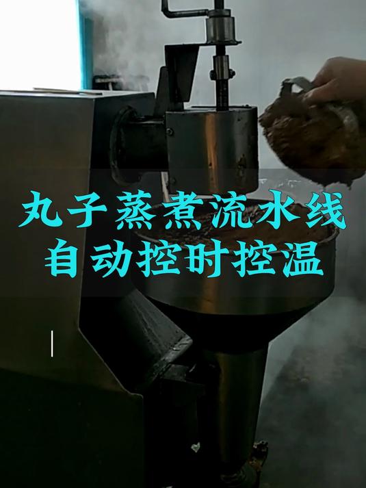 肉丸成型机，丸子蒸煮流水线，肉丸蒸煮流水线，鱼丸蒸煮流水线