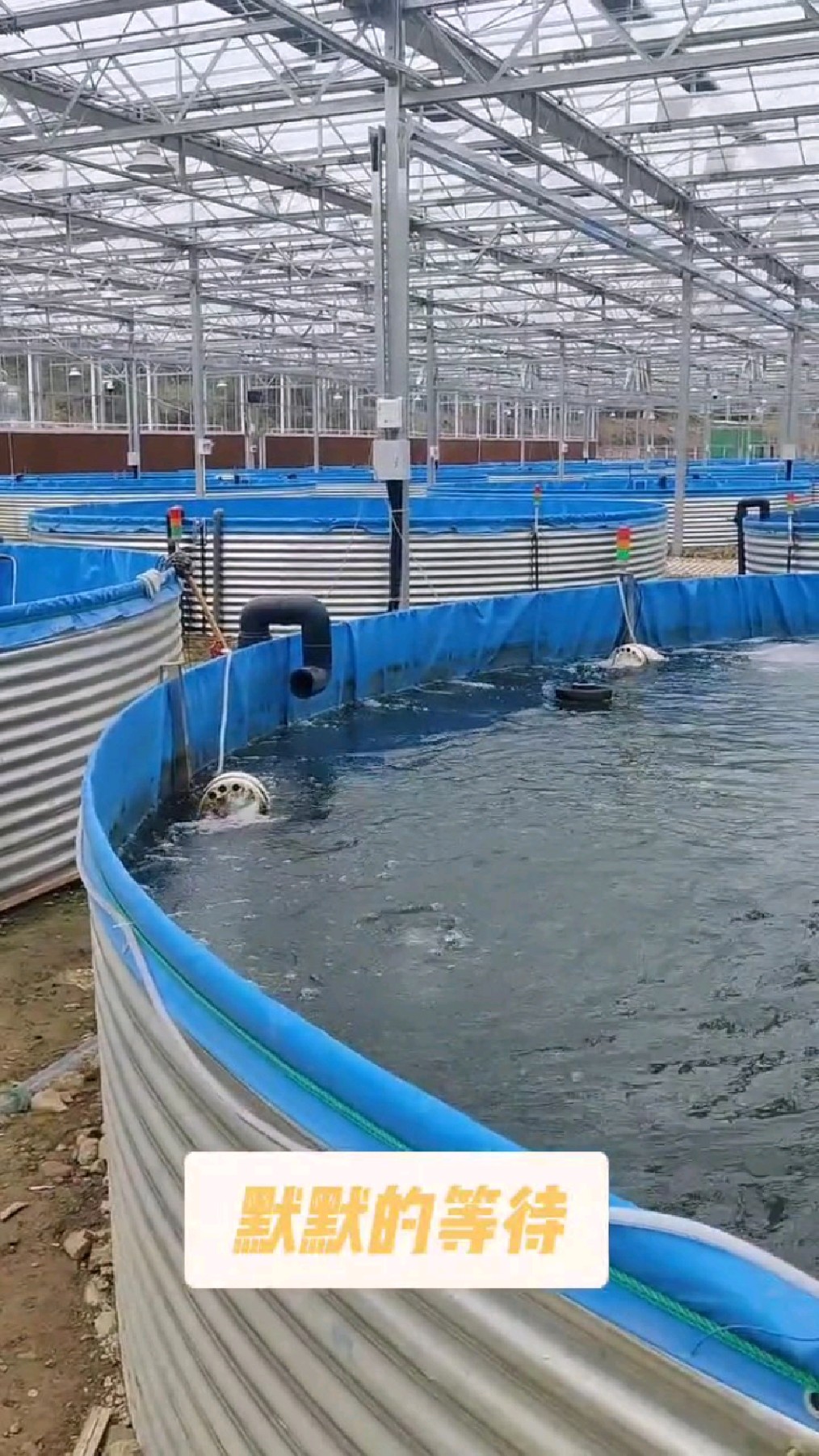 室内工厂化养殖,大棚水箱养鱼,陆基高位圆桶养鱼