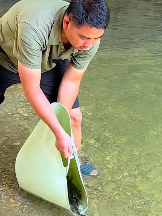 今天买了一批柳根鱼苗放流，希望它快快长大