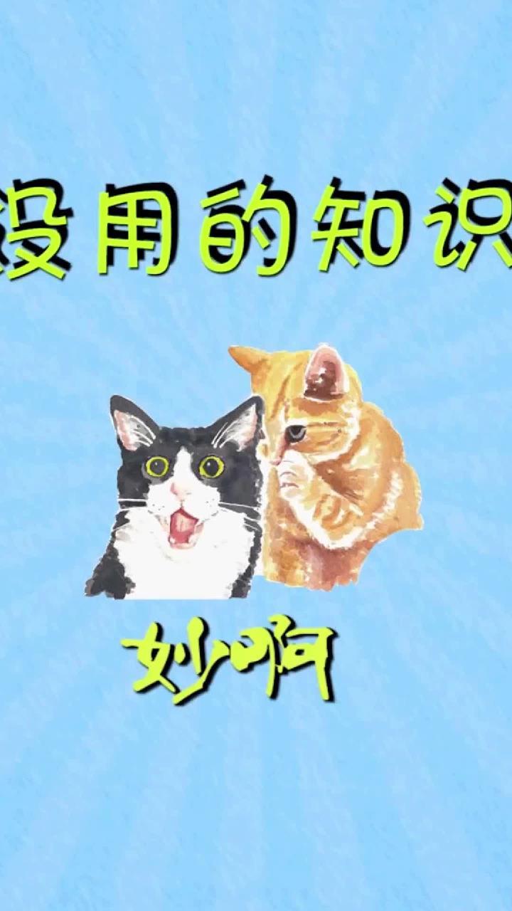 冷知识:你的家庭群名是什么?