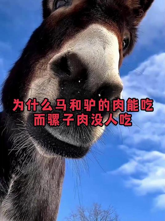 为什么马肉和驴肉能吃,而骡子肉却没人吃呢?